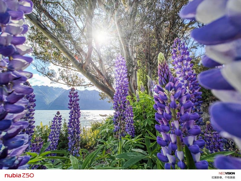 Nubia показала, на что способна сдвоенная камера в новейшем флагмане Nubia Z50