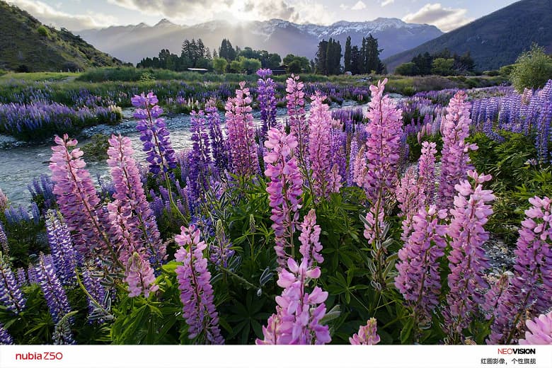 Nubia показала, на что способна сдвоенная камера в новейшем флагмане Nubia Z50