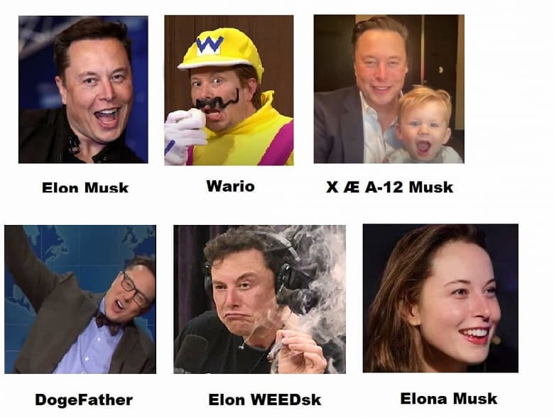 «Эти вопросы лучше задавать Илону Маску», — даже гендиретор Twitter не знает, что будет дальше