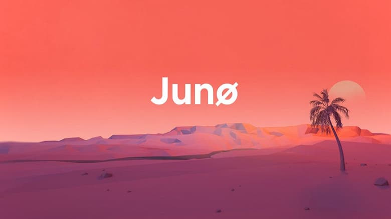 Копипаст — это зло. Разработчики криптовалюты Juno отправили миллионов на несуществующий кошелёк Копипаст — это зло. Разработчики криптовалюты Juno отправили миллионов на несуществующий кошелёк