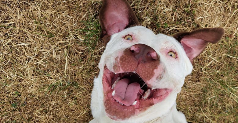 Так фотографирует самый необычный телефон 2022 года. Примеры снимков, сделанных камерой Nothing Phone (1)