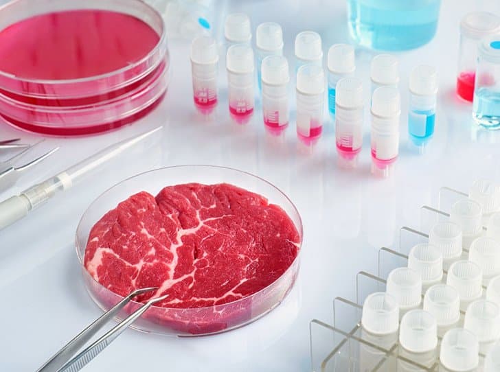 Вкусно – и точка. В Корее создали заменитель мяса из личинок насекомых