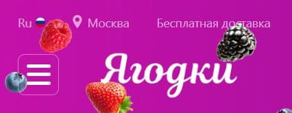 Wildberries все-таки русифицируется? Ретейлер подал заявку на регистрацию товарного знака «Ягодки» Wildberries все-таки русифицируется? Ретейлер подал заявку на регистрацию товарного знака «Ягодки»