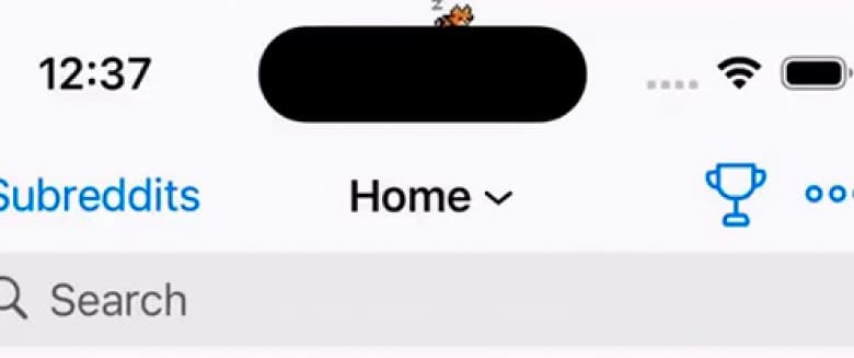 «Ладно, думаю, я нашел лучшую идею для Dynamic Island на iPhone 14 Pro. Я добавил кота». Разработчик превратил вырез в iPhone 14 Pro в тамагочи