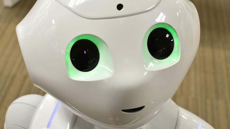 Российские учёные создали систему компьютерного зрения, способную распознавать любые объекты на изображении с видеокамер