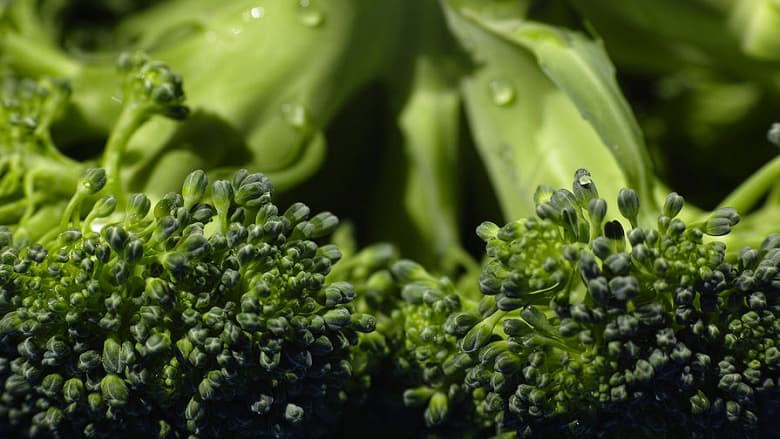 Учёные предложили искать жизнь на других планетах, ориентируясь на капустный газ