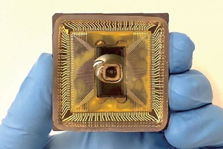 Физики создали ионный процессор, работающий подобно мозгу