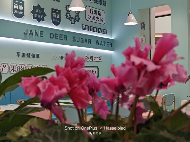 Все еще не претендент на звание лучшего камерофона? Опубликован первый обзор OnePlus 11 с реальным не постановочными фото