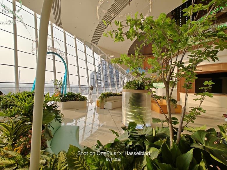 Все еще не претендент на звание лучшего камерофона? Опубликован первый обзор OnePlus 11 с реальным не постановочными фото