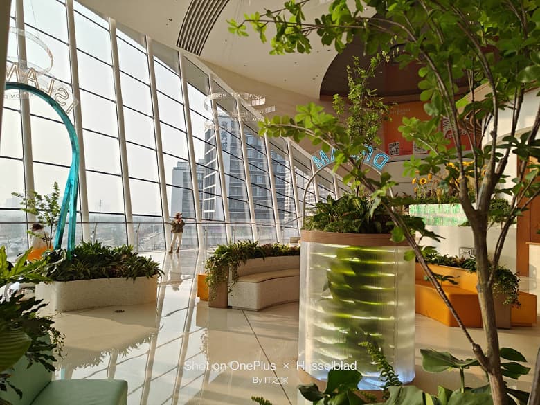 Все еще не претендент на звание лучшего камерофона? Опубликован первый обзор OnePlus 11 с реальным не постановочными фото