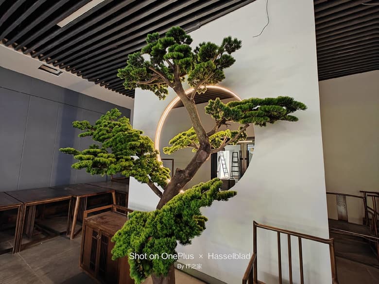 Все еще не претендент на звание лучшего камерофона? Опубликован первый обзор OnePlus 11 с реальным не постановочными фото