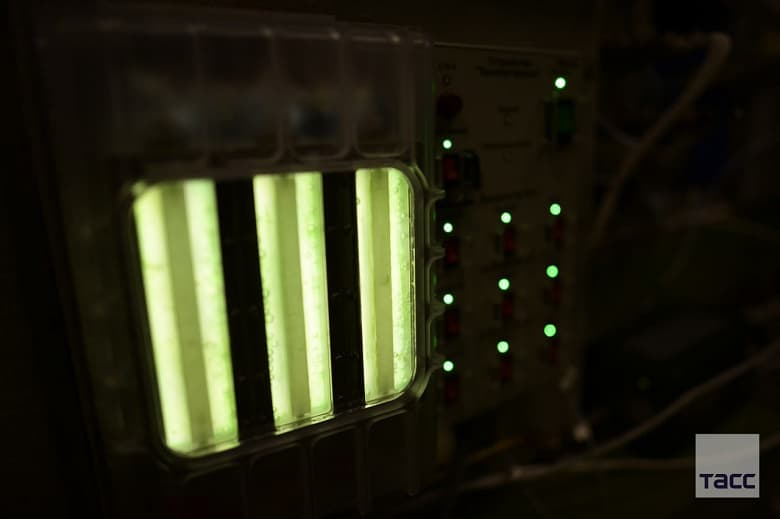 На МКС получили кислород из водорослей