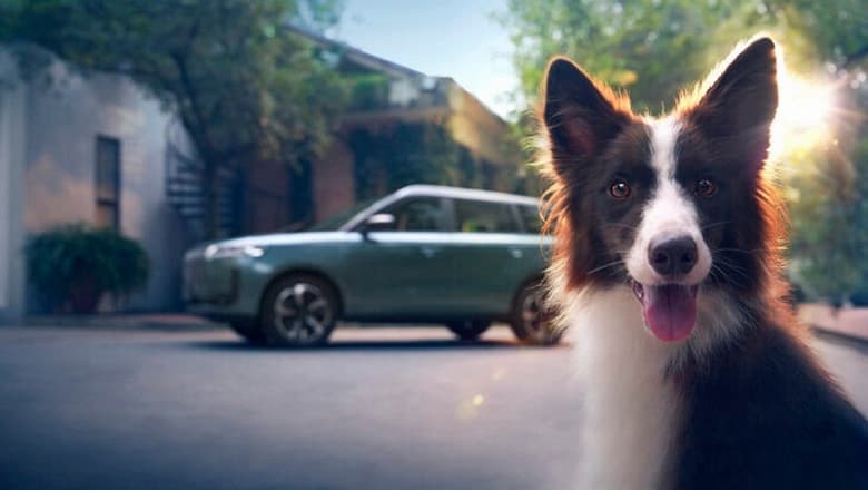 Интерьер этого автомобиля устойчив к когтям домашних животных. Скоро в России адаптированный Jaecoo J5