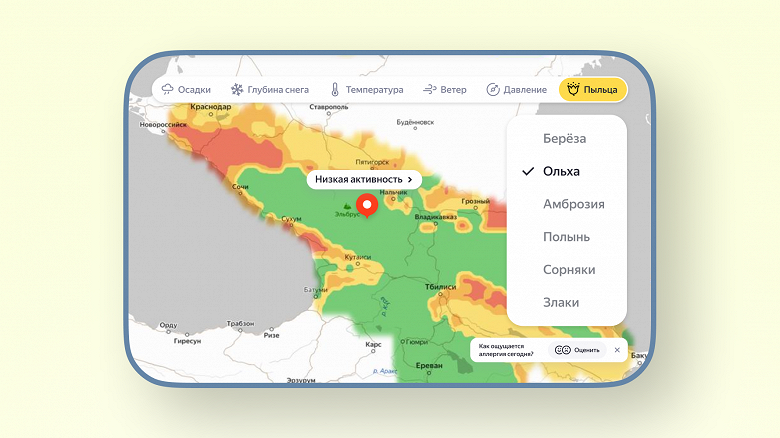 «Будьте здоровы!»: в «Яндекс Погоде» появились карты для аллергиков, прогноз и предупреждения об активности пыльцы