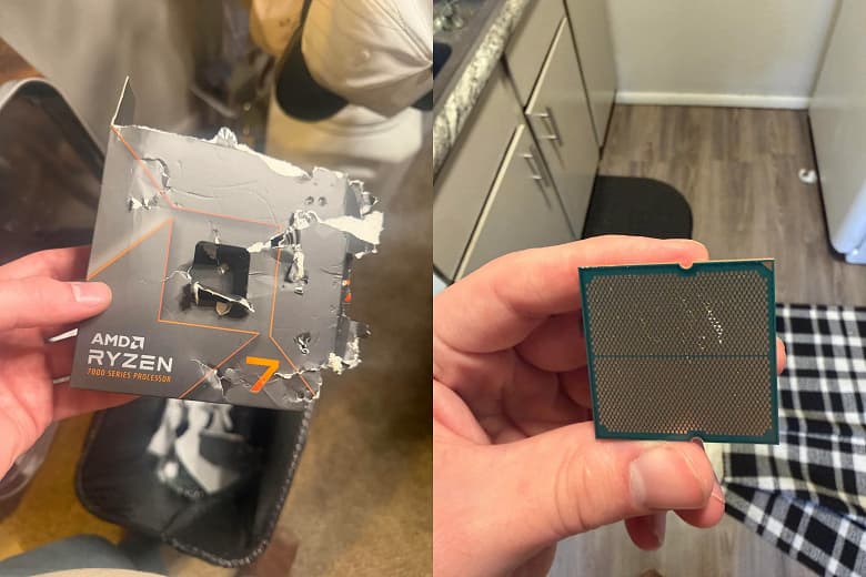 Самое странное повреждение Ryzen 7 7700X: процессор пострадал от зубов собаки Самое странное повреждение Ryzen 7 7700X: процессор пострадал от зубов собаки