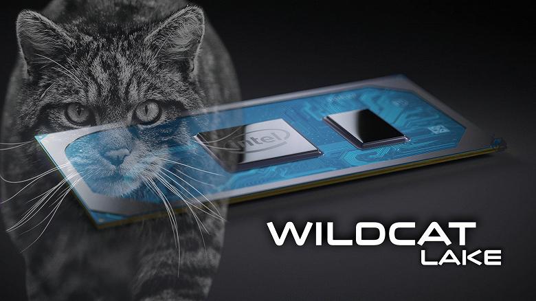 Intel Wildcat Lake: два больших ядра, частота до 1,5 ГГц и TDP 15 Вт Intel Wildcat Lake: два больших ядра, частота до 1,5 ГГц и TDP 15 Вт
