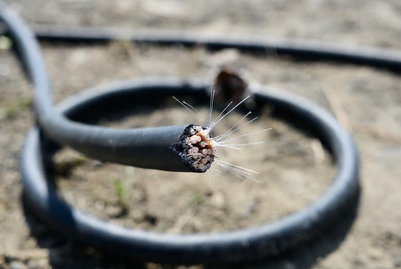 Рекордный интернет-блэкаут в Иране: 90 миллионов человек остаются без связи уже почти месяц