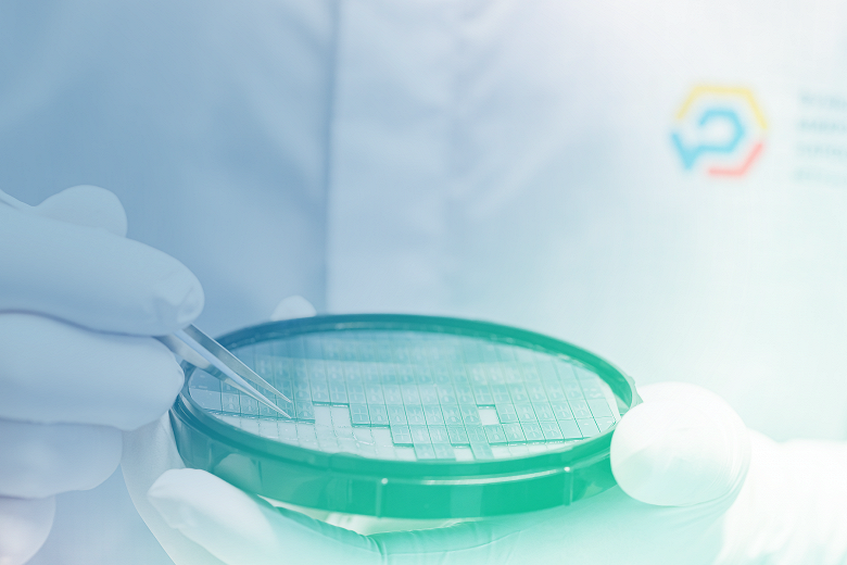 В МГТУ им. Баумана запускают производство фотонных чипов: российские ученые получат первую партию бесплатно В МГТУ им. Баумана запускают производство фотонных чипов: российские ученые получат первую партию бесплатно