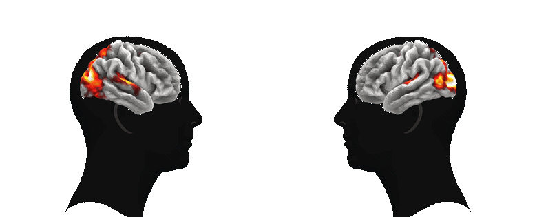 TRIBE v2 от Meta*: новая нейросеть предсказывает активность мозга по видео, аудио и тексту TRIBE v2 от Meta*: новая нейросеть предсказывает активность мозга по видео, аудио и тексту