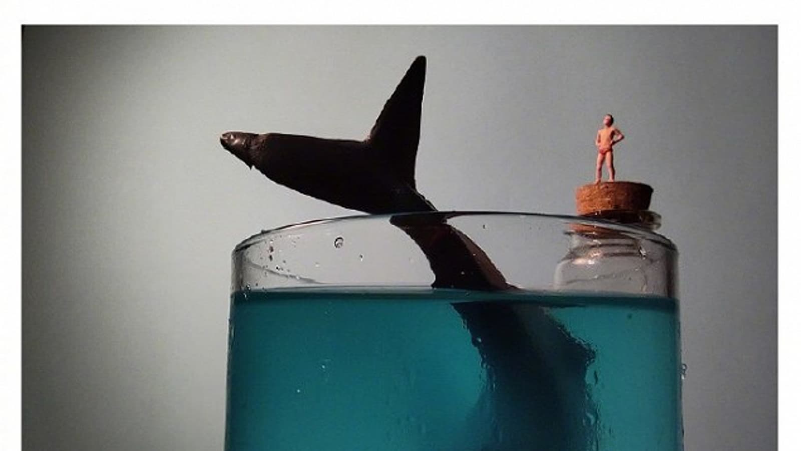 Xiaomi продемонстрировала впечатляющую макросъёмку на Redmi K30 за несколько дней до анонса