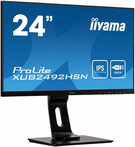 Оснащение монитора iiyama ProLite XUB2492HSN-B1 включает док-станцию