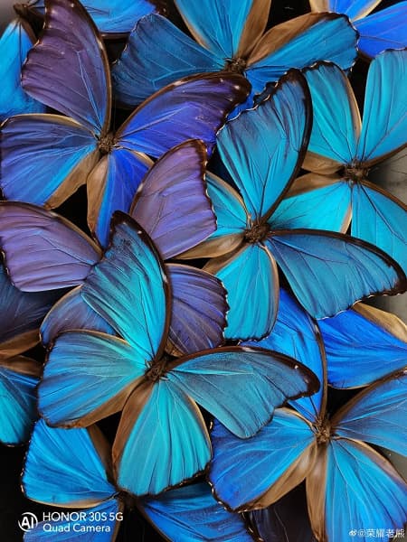 Настоящий камерофон. Первое фото, сделанное на камеру Honor 30S, выглядит впечатляюще