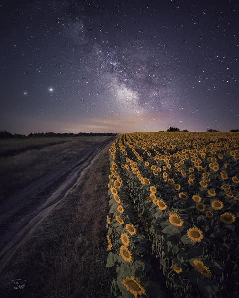 Сложно поверить, что эта фотография сделана на недорогой смартфон Redmi