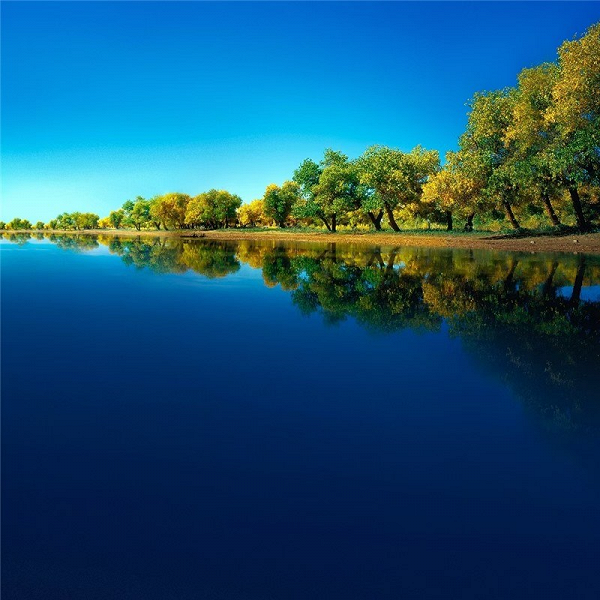 Темы и обои Huawei Mate 40 утекли до анонса