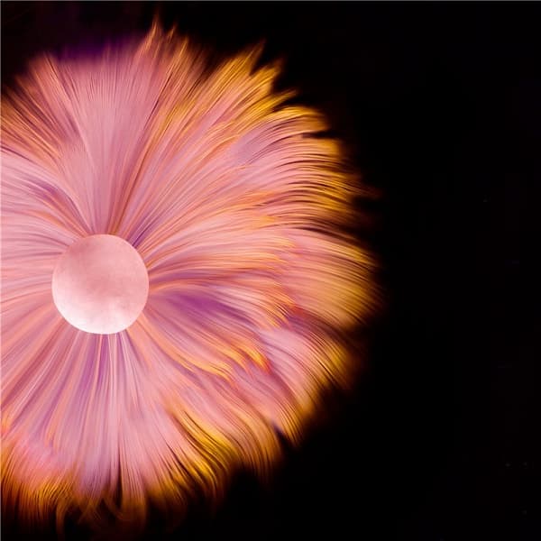 Темы и обои Huawei Mate 40 утекли до анонса