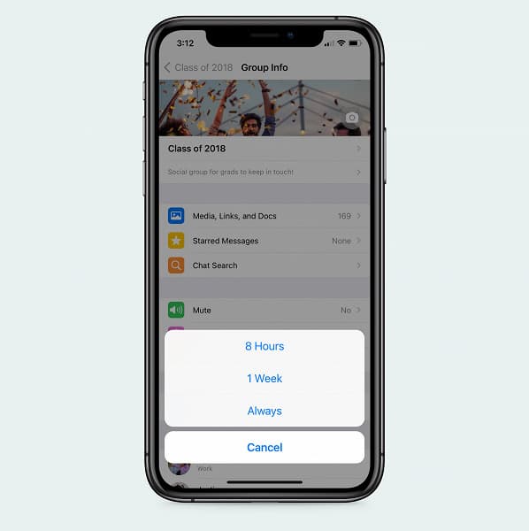 WhatsApp наконец можно заставить замолчать навсегда