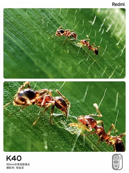 120 Гц, 48 Мп, 4520 мА·ч и лучший экран Samsung AMOLED за 310 долларов. Представлен Redmi K40 – первый в мире смартфон на Snapdragon 870