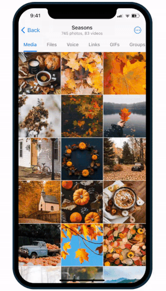 Выпущено большое обновление популярного мессенджера Telegram