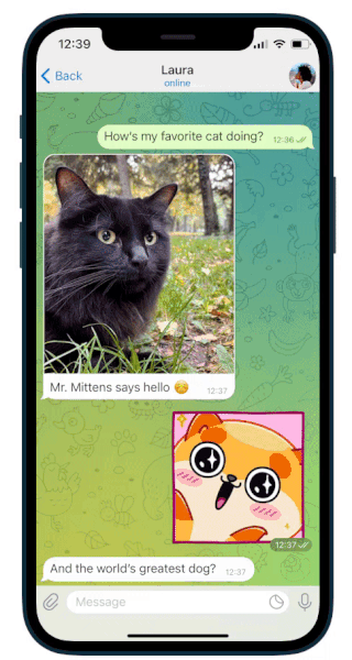 Выпущено большое обновление популярного мессенджера Telegram