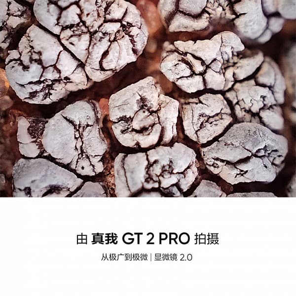 50-мегапиксельные панорамные фото на 150° и камера-микроскоп нового поколения. Опубликованы примеры фото, сделанные флагманской камерой Realme GT2 Pro