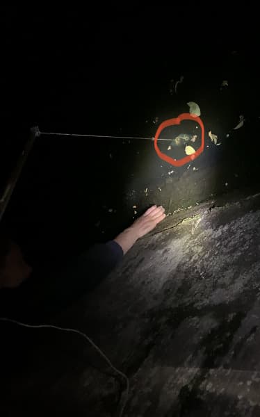 Обнаружена ещё одна «секретная» функция MagSafe. Утонувший iPhone достали со дна канала в Берлине