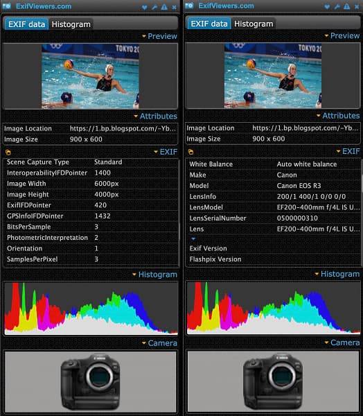 Разрешение камеры Canon EOS R3 оказалось ниже, чем ожидалось