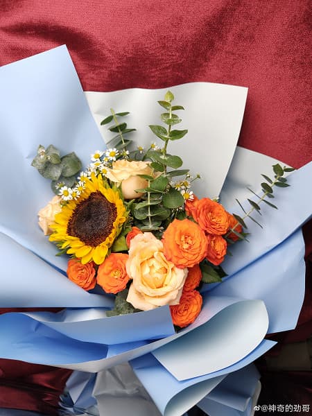 Так снимает 200-мегапиксельная камера в новом флагмане Motorola Так снимает 200-мегапиксельная камера в новом флагмане Motorola