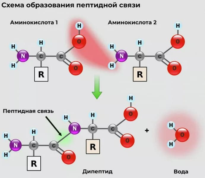 Учёные опровергли основную теорию зарождения жизни. Она зародилась не в воде