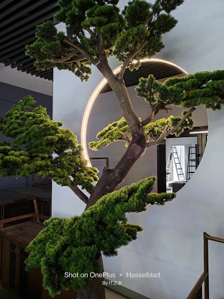 Все еще не претендент на звание лучшего камерофона? Опубликован первый обзор OnePlus 11 с реальным не постановочными фото