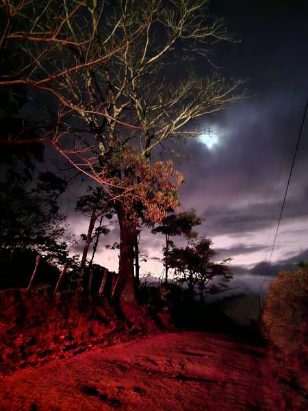 Луна с 30-кратным зумом, режим ночной съемки и примеры дневной съемки. Новые фото, демонстрирующие возможности Samsung Galaxy S23 – базовой модели линейки