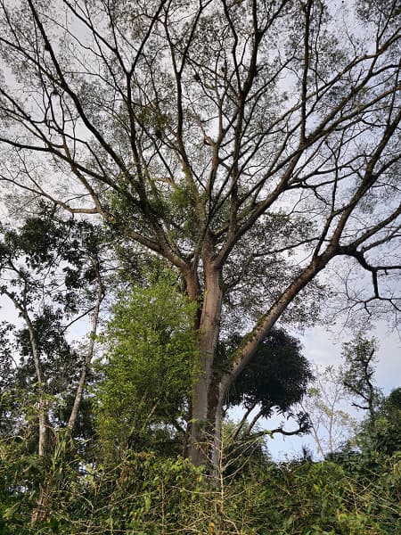 Луна с 30-кратным зумом, режим ночной съемки и примеры дневной съемки. Новые фото, демонстрирующие возможности Samsung Galaxy S23 – базовой модели линейки