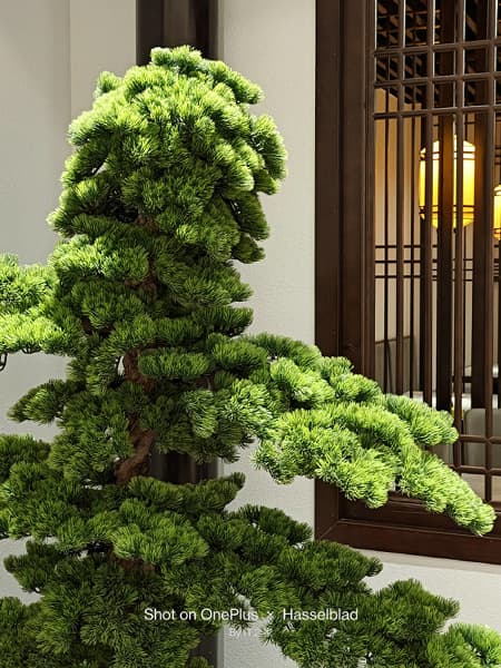 Все еще не претендент на звание лучшего камерофона? Опубликован первый обзор OnePlus 11 с реальным не постановочными фото