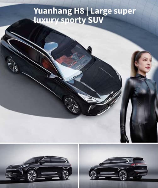 Перспективные автомобили категории «суперлюкс» от компании Dayun из Китая поступят в продажу на территории России. В ассортименте будет представлено четыре модели из популярной серии Yuanhang, включая два кроссовера, седан и спорткупе