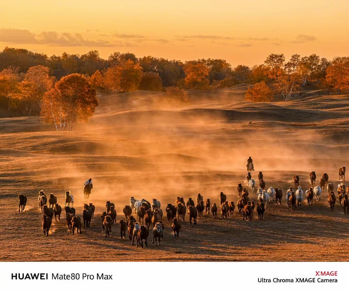 Образец съёмки на Huawei Mate80 RS, Mate80 Pro и Mate80 Pro Max