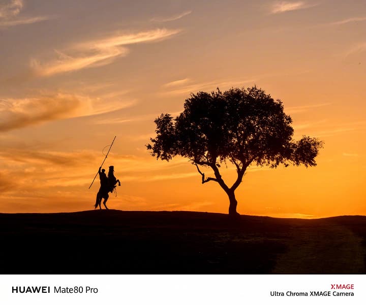 Образец съёмки на Huawei Mate80 RS, Mate80 Pro и Mate80 Pro Max