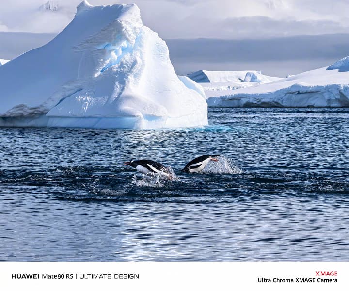 Образец съёмки на Huawei Mate80 RS, Mate80 Pro и Mate80 Pro Max