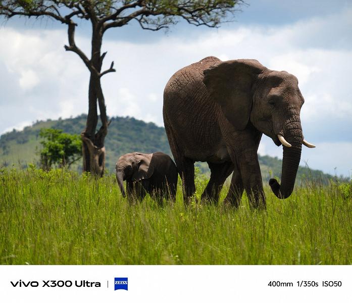 Первые кадры на Vivo X300 Ultra: возможности суперзума в действии Первые кадры на Vivo X300 Ultra: возможности суперзума в действии